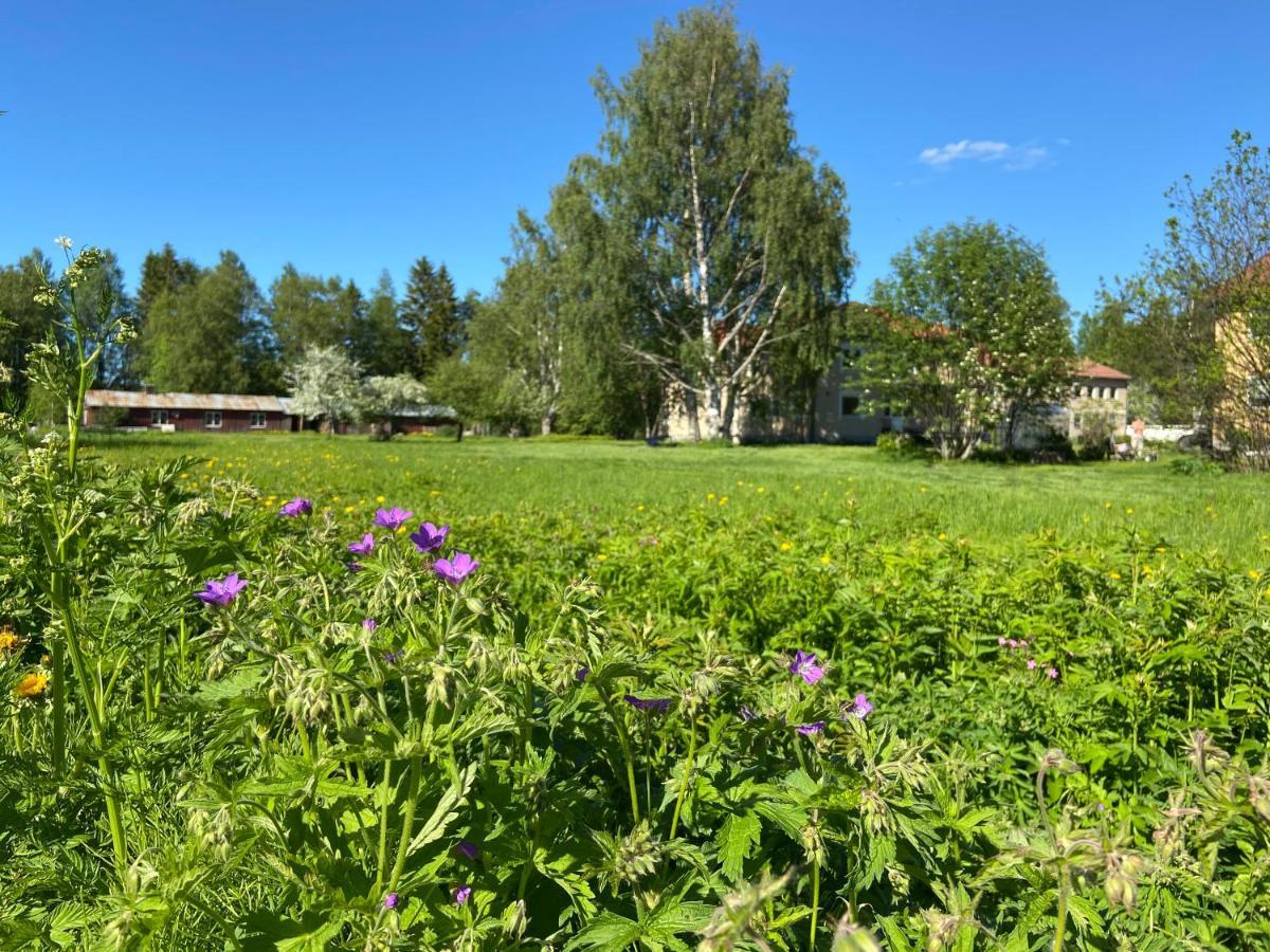Vojakkala Vandrarhem Haparanda  Luaran gambar