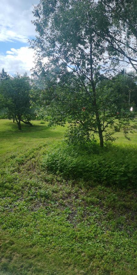 Vojakkala Vandrarhem Haparanda  Luaran gambar